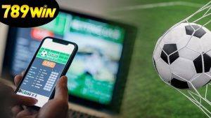 huong-dan-ca-cuoc-the-thao-789win