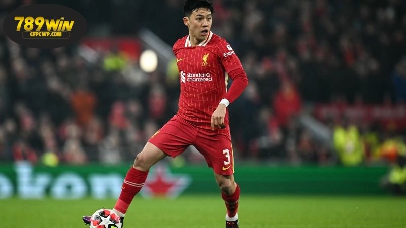 Nhận định bóng đá Newcastle Jets vs Adelaide United, 16h30 ngày 30/7 1 Thông tin lực lượng Newcastle Jets vs Adelaide United mới nhất